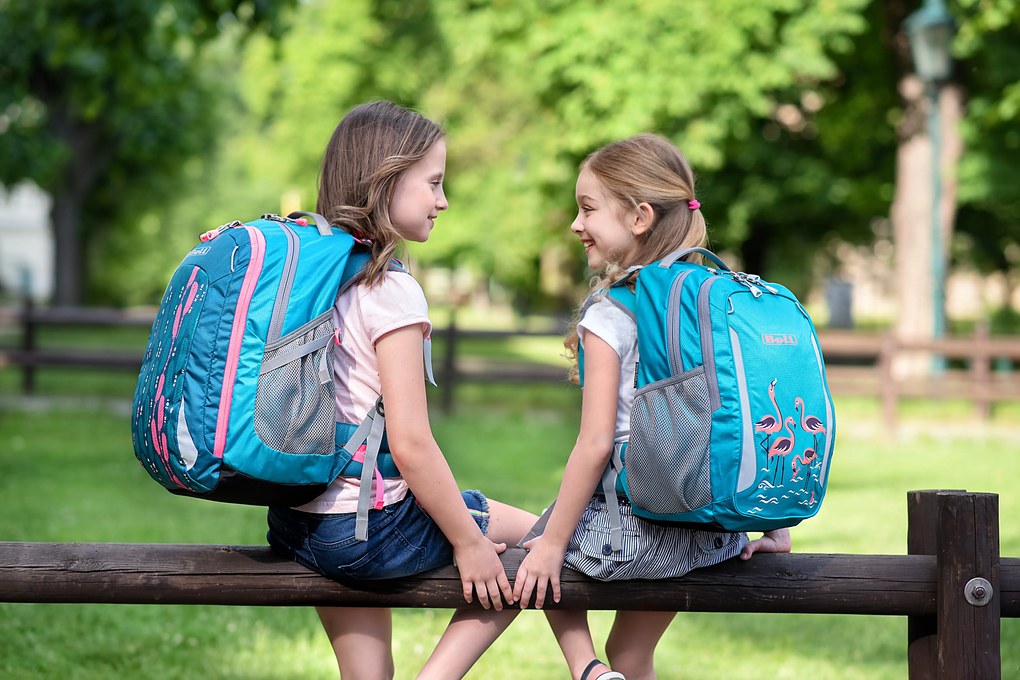 Zaino scuola BOLL SMART Artwork Collection 24 l Feathers - teal