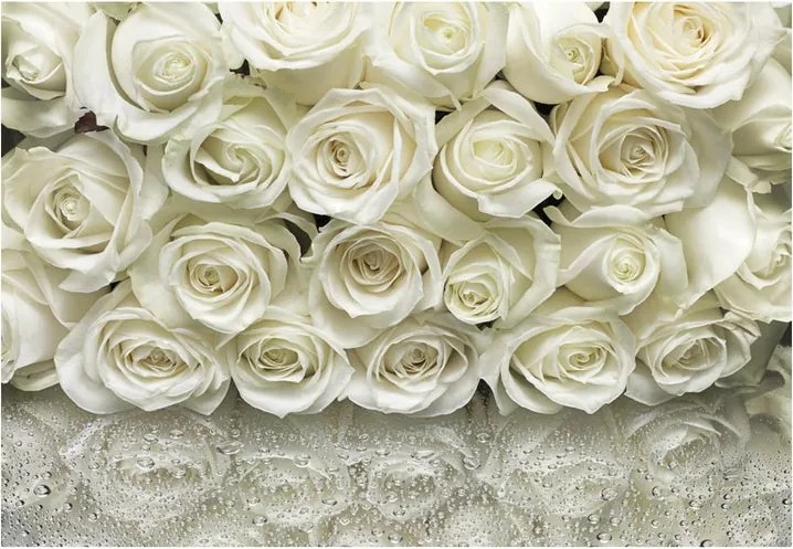 Fotomurale KOMAR La Rose, Multicolore 368X254 cm