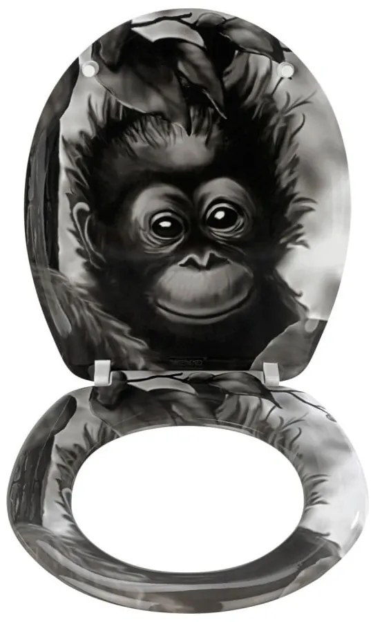 Sedile WC , 44,5 x 36,5 cm Ape - Wenko