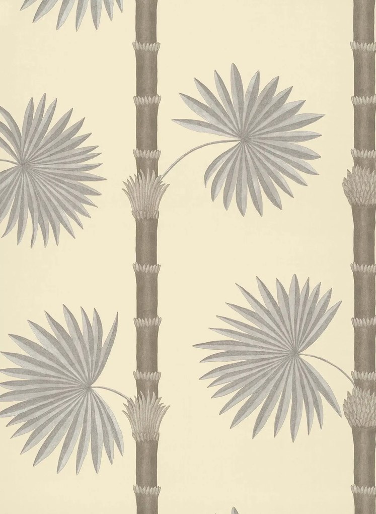 Paint & Paper Library Carta da parati Hardy Palm - Canvas 3