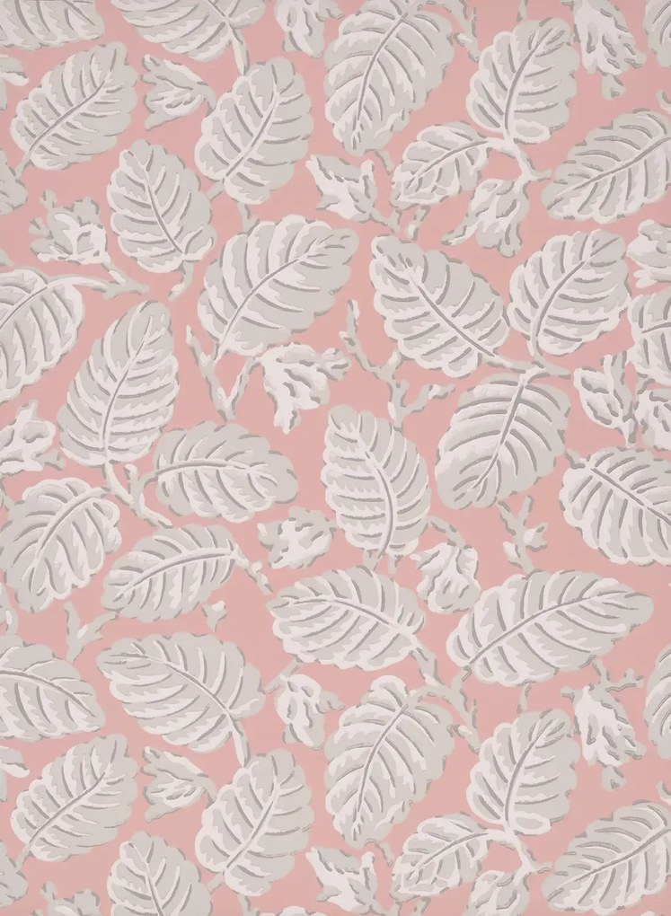 Little Greene Tapete Beech Nut - Delicate
