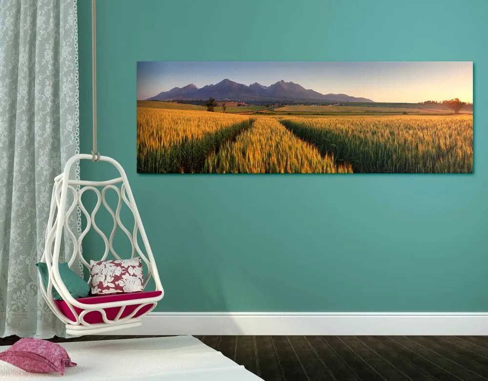 Stampa su tela – Tramonto su campo di grano