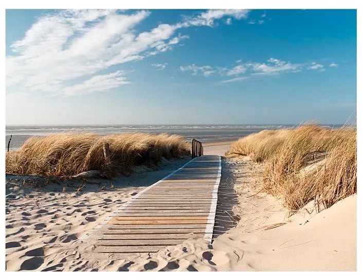 Fotomurale  Spiaggia del Mare del Nord, Langeoog  Colore Blu, Dimensioni e Misure 200x154