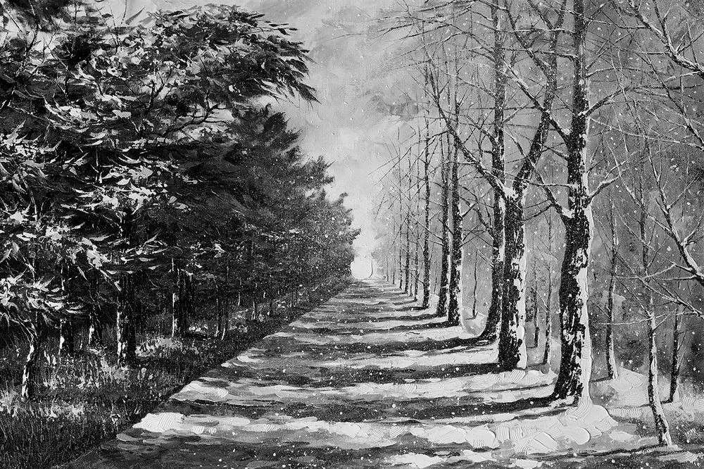 Carta da parati – Viale autunnale in bianco e nero