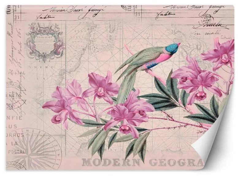 Carta Da Parati, Fiori Uccelli Rosa Vintage