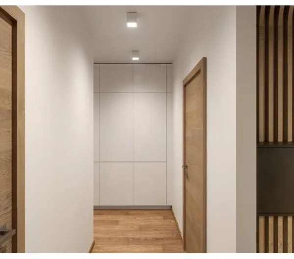 LED2 - Plafoniera LED da esterno CUBE LED/12W/230V bianca