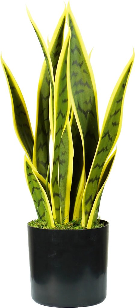 Pianta Artificiale Sansevieria H45 cm con Vaso Verde...