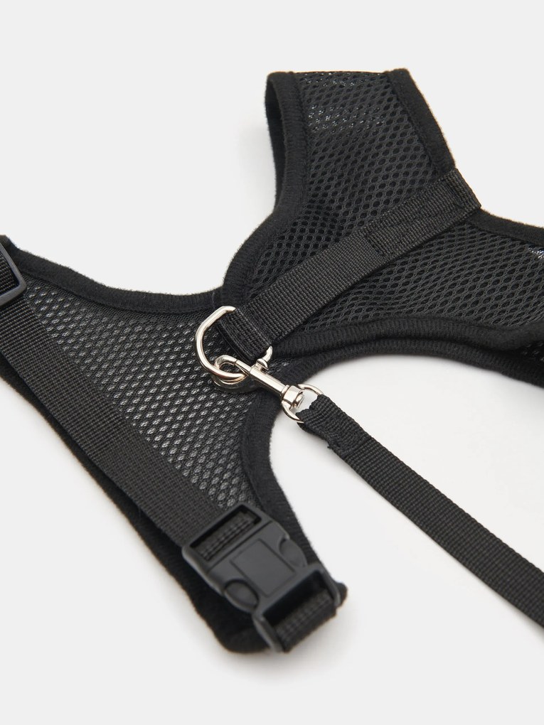 Sinsay - Pettorina e guinzaglio per cani - nero