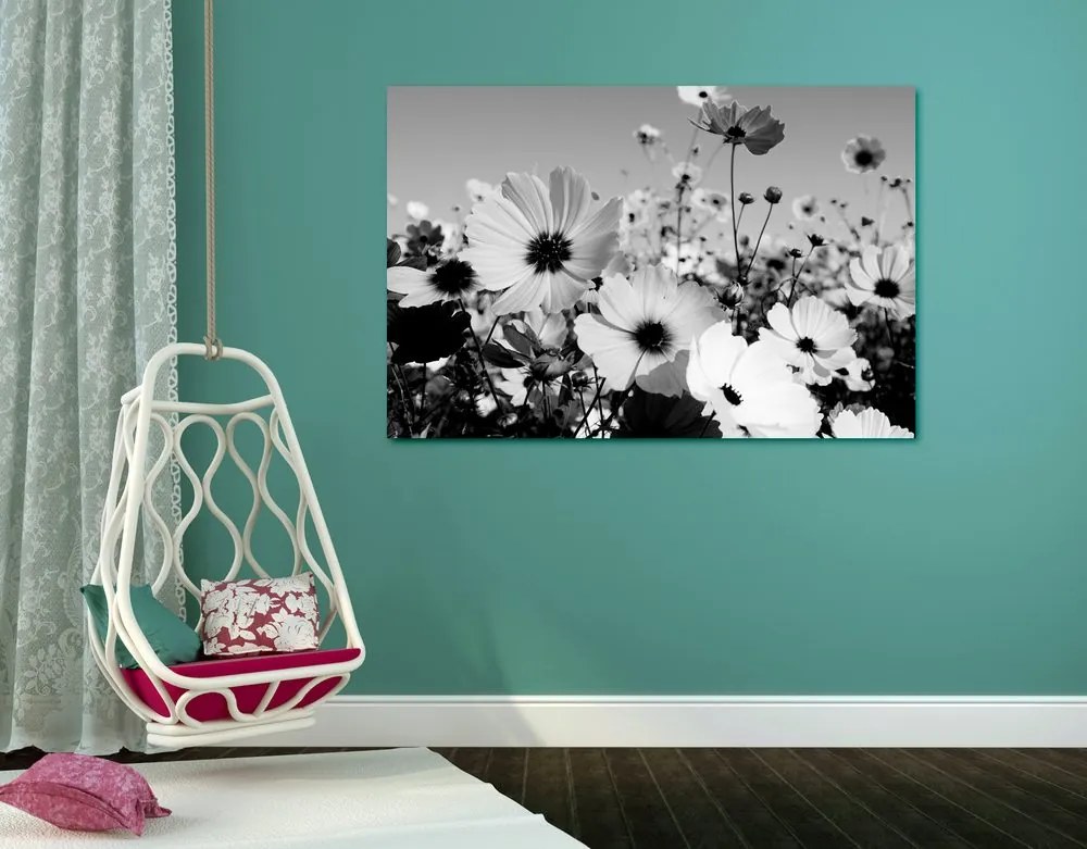 Stampa su tela – Prato di fiori primaverili in bianco e nero