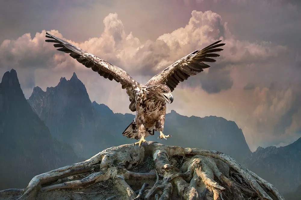 Carta da parati autoadesiva – Aquila con ali spiegate sopra le montagne