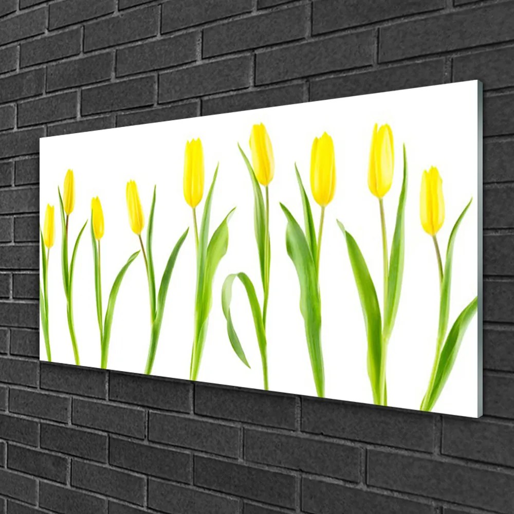 Quadro vetro Fiori di tulipani gialli 100x50 cm 2 appendini