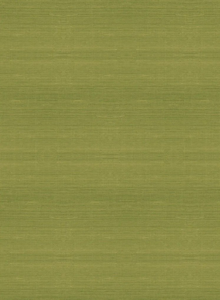 Arte International Carta da parati Line - Fern