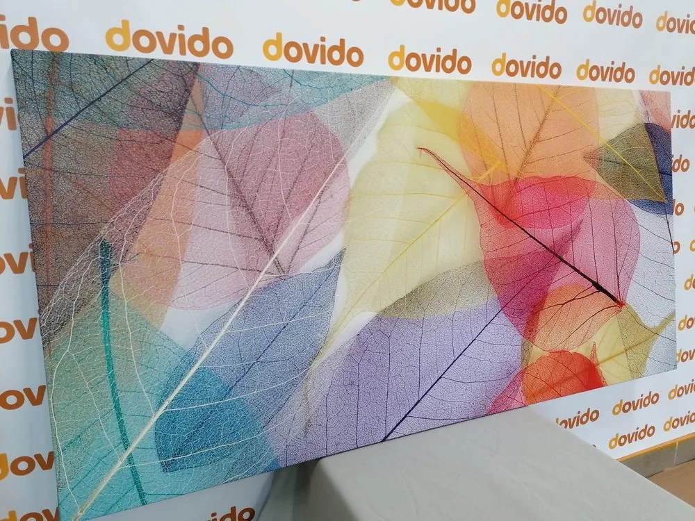 Stampa su tela – Venature su foglie colorate