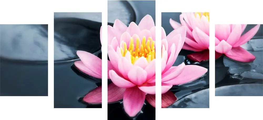 Quadri 5 pezzi – Fiore di loto nel lago