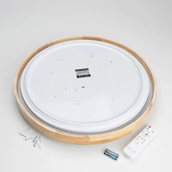 Brilagi - Plafoniera LED dimmerabile PINE LED/60W/230V + telecomando