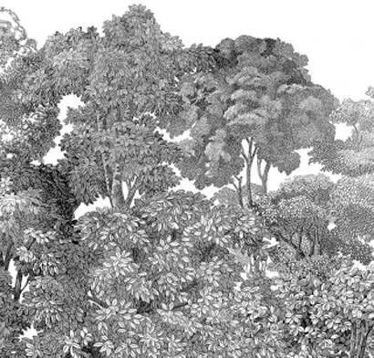 Rebel Walls Carta da parati panoramica Bellewood - Black