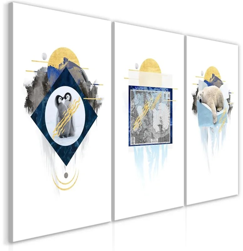 Quadro  Antarctica (Collection)  Colore Giallo, Dimensioni e Misure 60x30