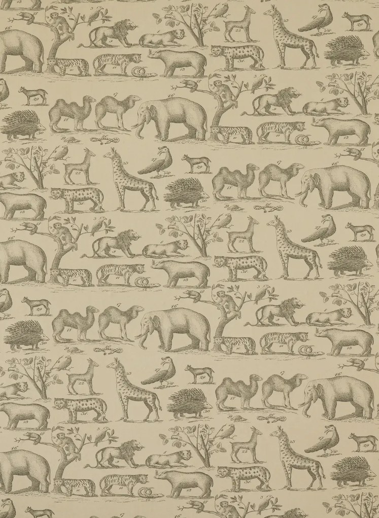 Andrew Martin Carta da parati Ark - Parchment