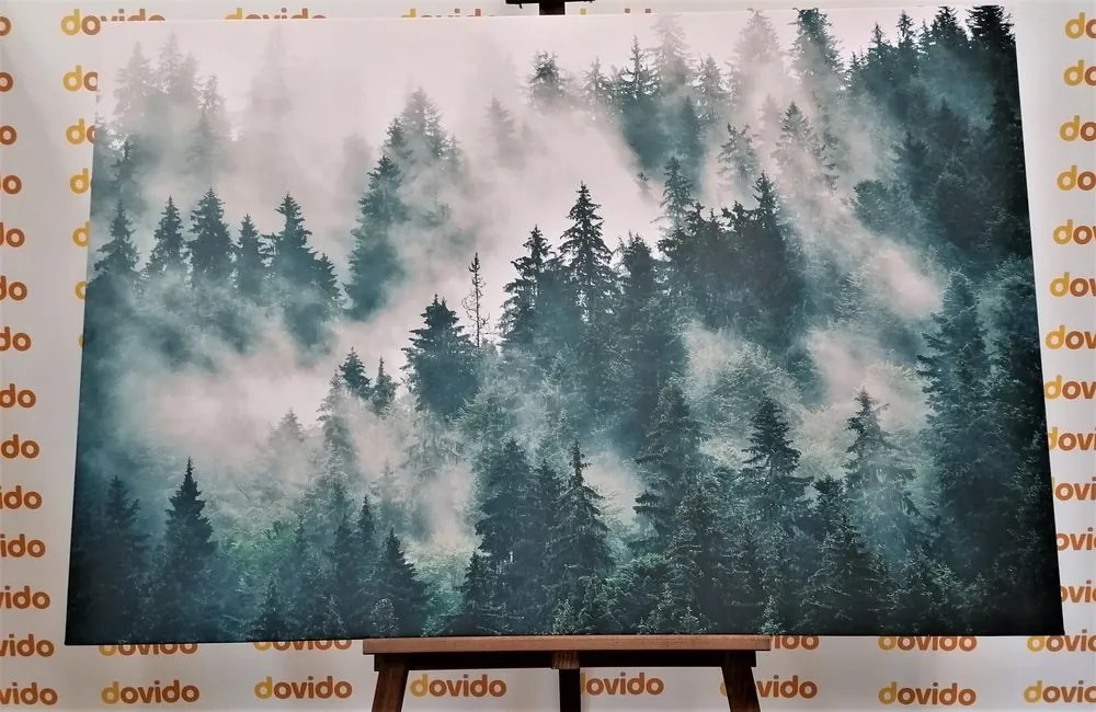 Quadro su tela – Montagne nella nebbia