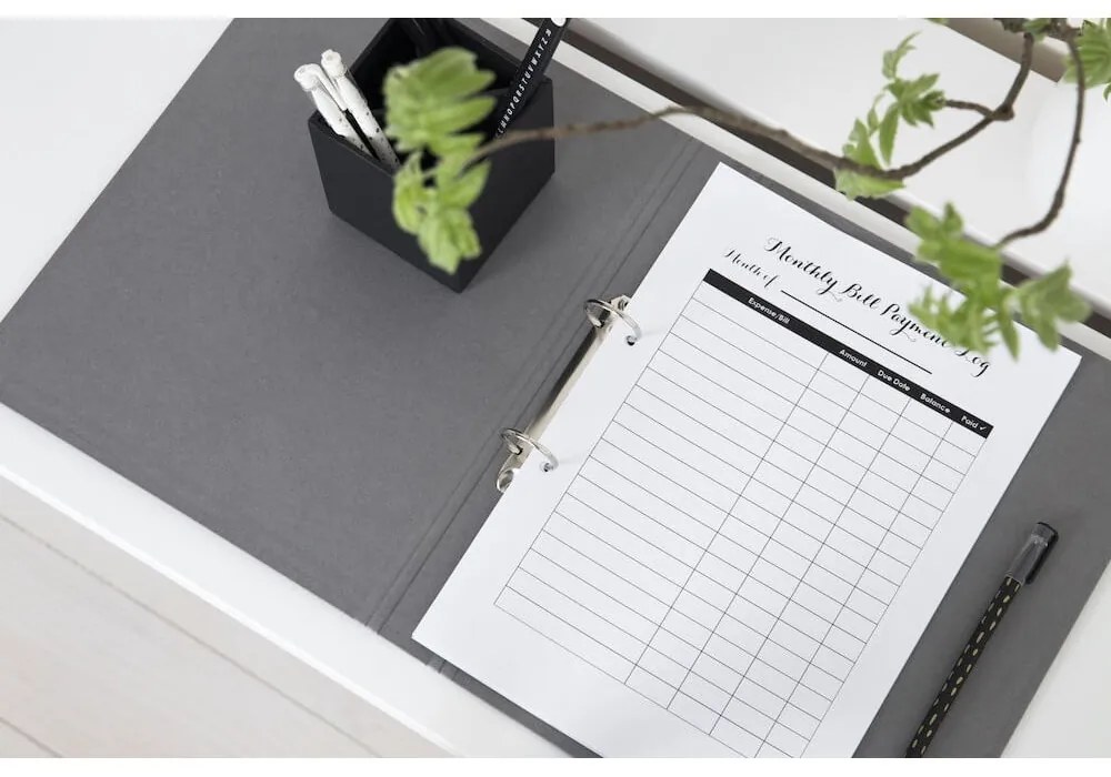 Organizzatore di cartone Ringo - Bigso Box of Sweden