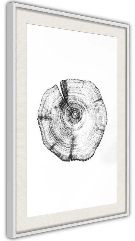 Poster  Tree Rings  Cornice Quadri Cornice nera con pass-partout, Larghezza x Altezza Home decor 20x30