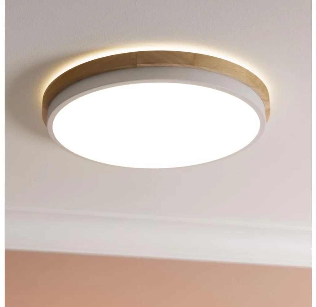 Brilliant - Plafoniera LED dimmerabile BAARLO LED/24W/230V diametro 35 cm bianco