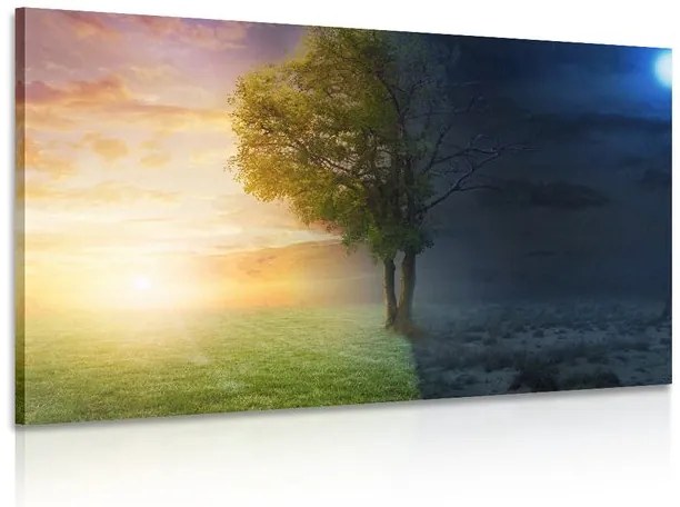 Quadro su tela – Giorno e notte