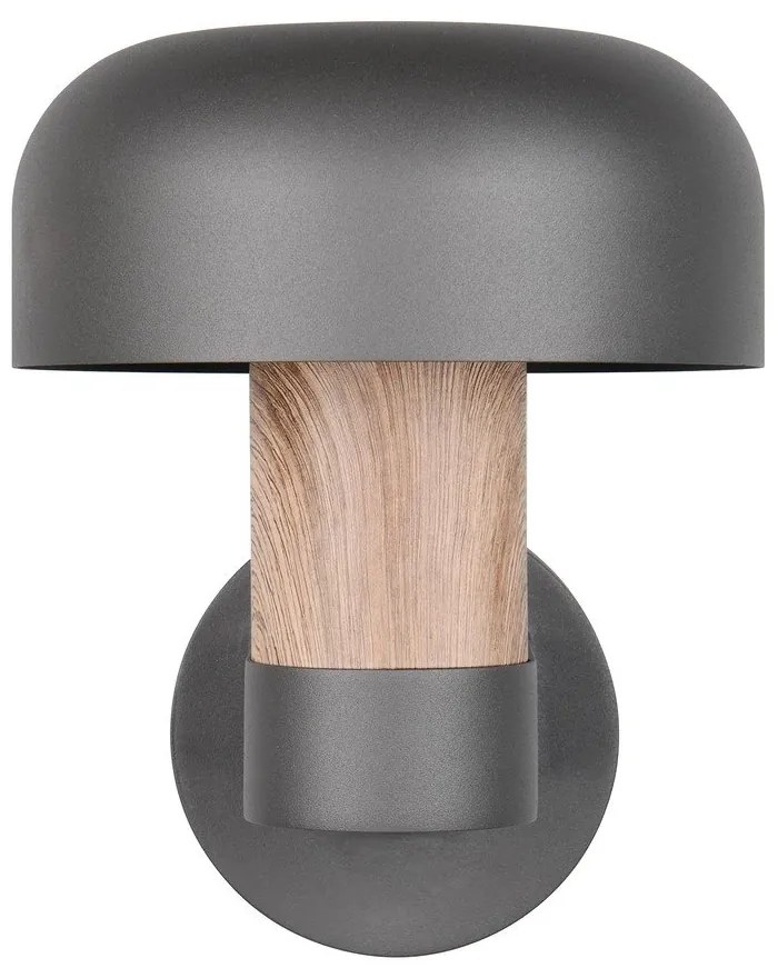 Illuminazione esterna da parete (altezza totale 24,5 cm) Fraser – Trio