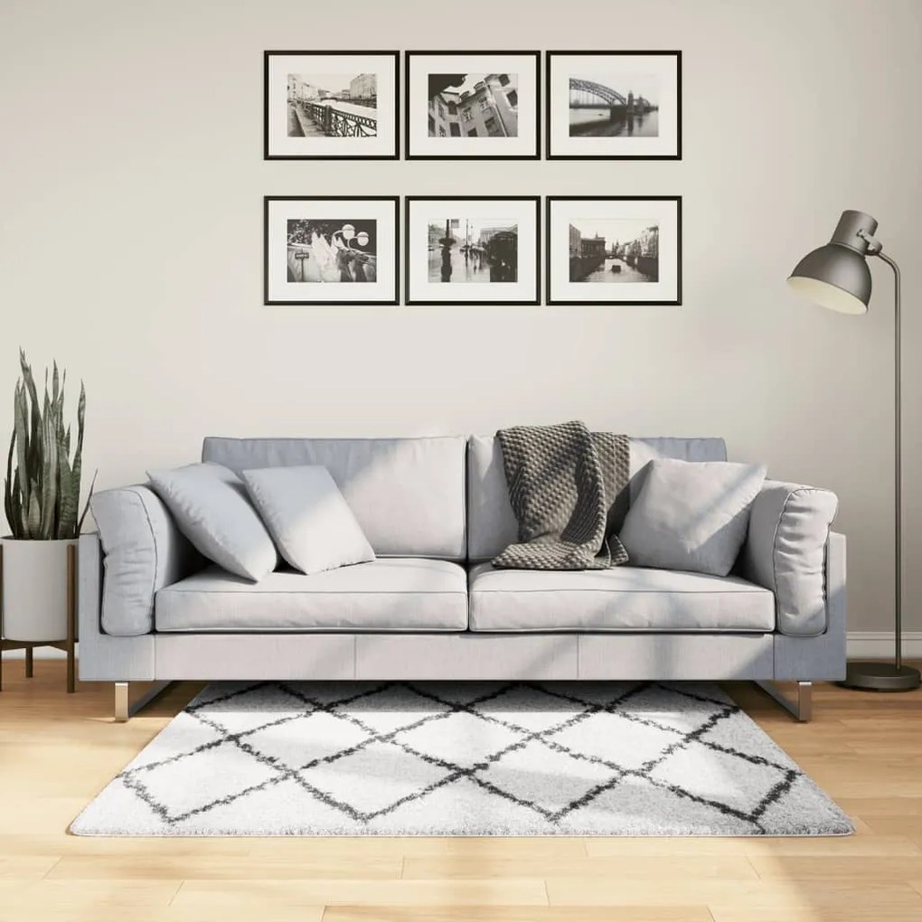 Tappeto Shaggy Pamplona A Pelo Lungo Crema E Nero 120x170 Cm /