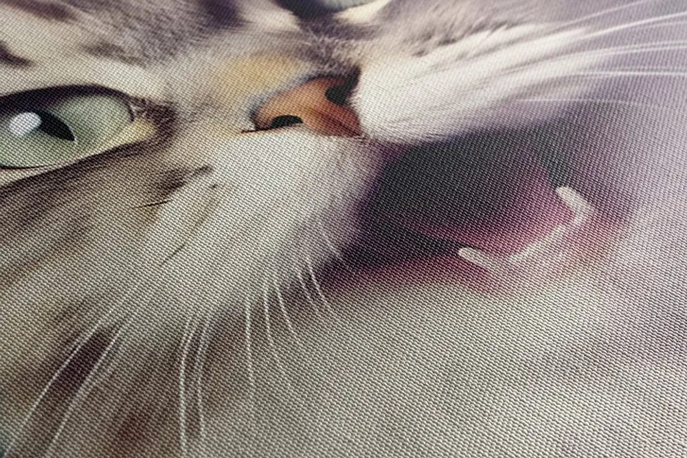 Stampa su tela – Gatto con cuffie
