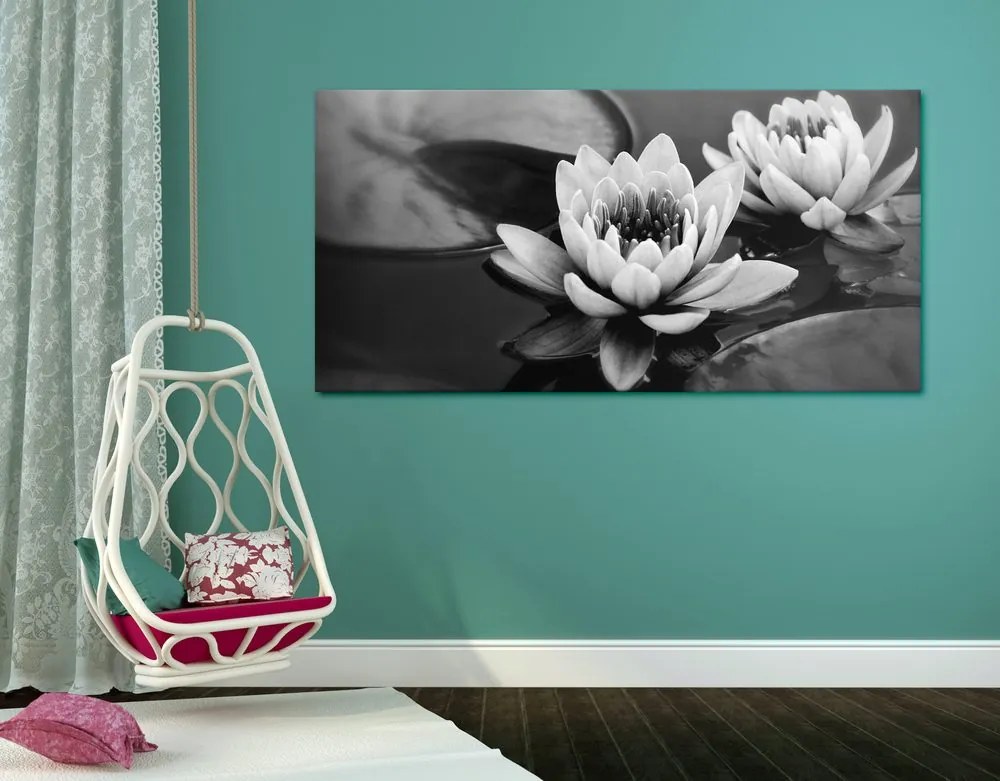 Stampa su tela – Fiore di loto nel lago in bianco e nero