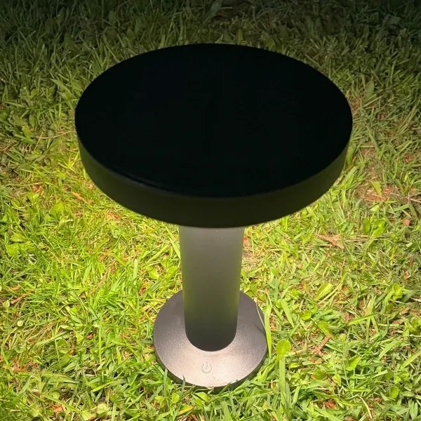 Zuma Line DT33611 - Lampada solare LED CARLI LED/2W/2000 mAh IP44 nero