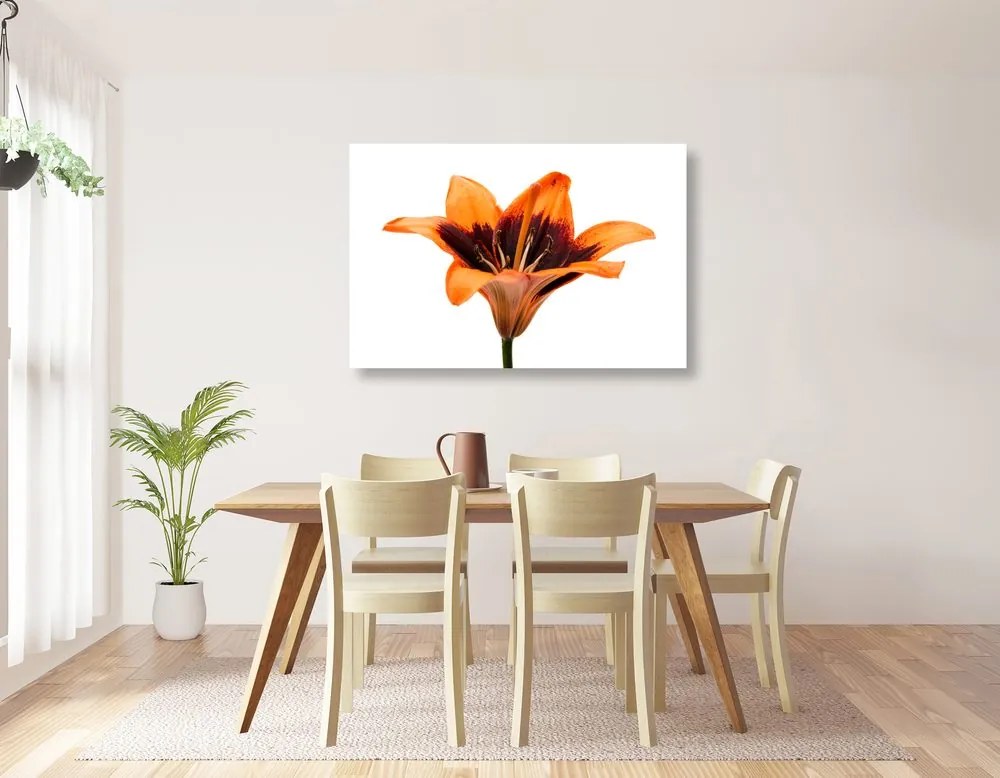 Quadro su tela – Giglio arancione