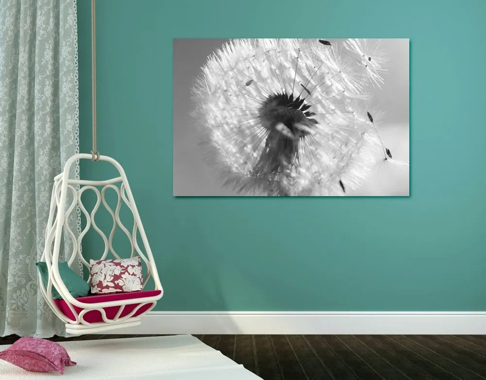 Quadro su tela – Dettaglio del soffione in bianco e nero