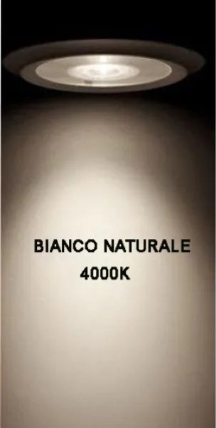 Lampada da parete esterno BULL - LED 13W 4000K protezione IP54 in alluminio Silver