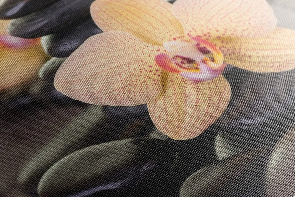 Quadro su tela – Orchidea gialla e pietre Zen