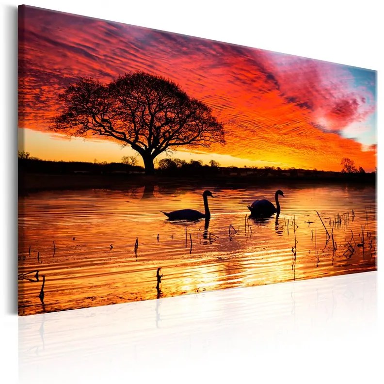 Quadro  Swan Lake  Colore Nero, Dimensioni e Misure 120x80