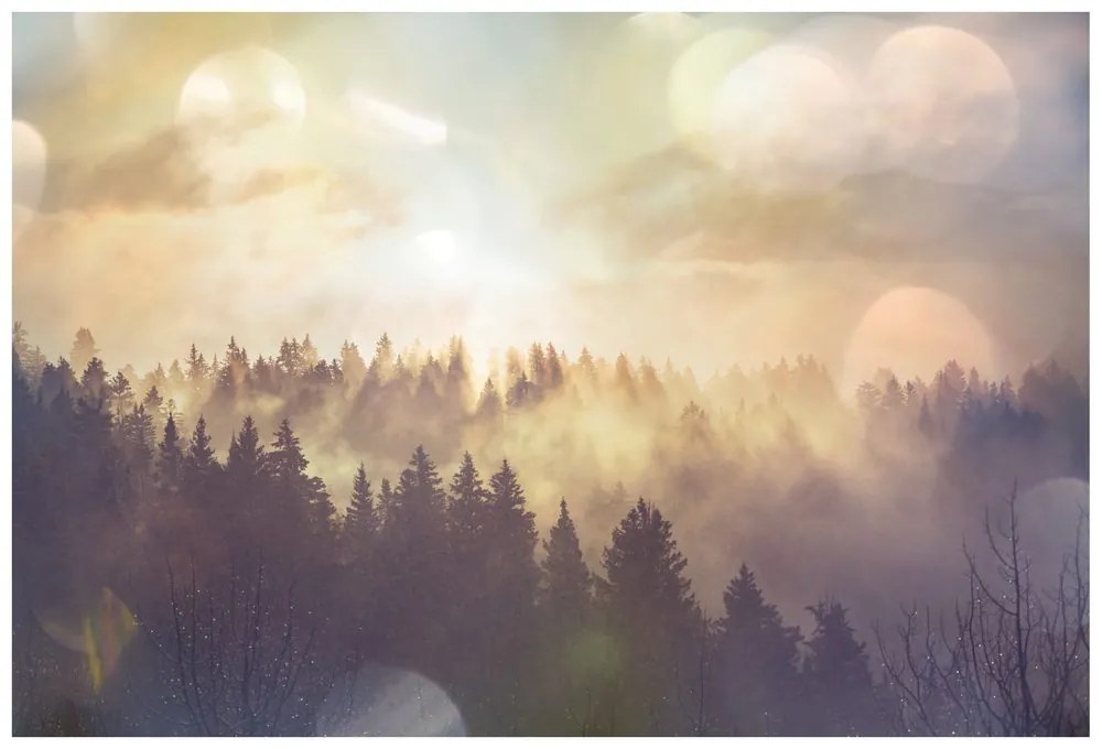 Carta da parati – Nebbia sopra la foresta
