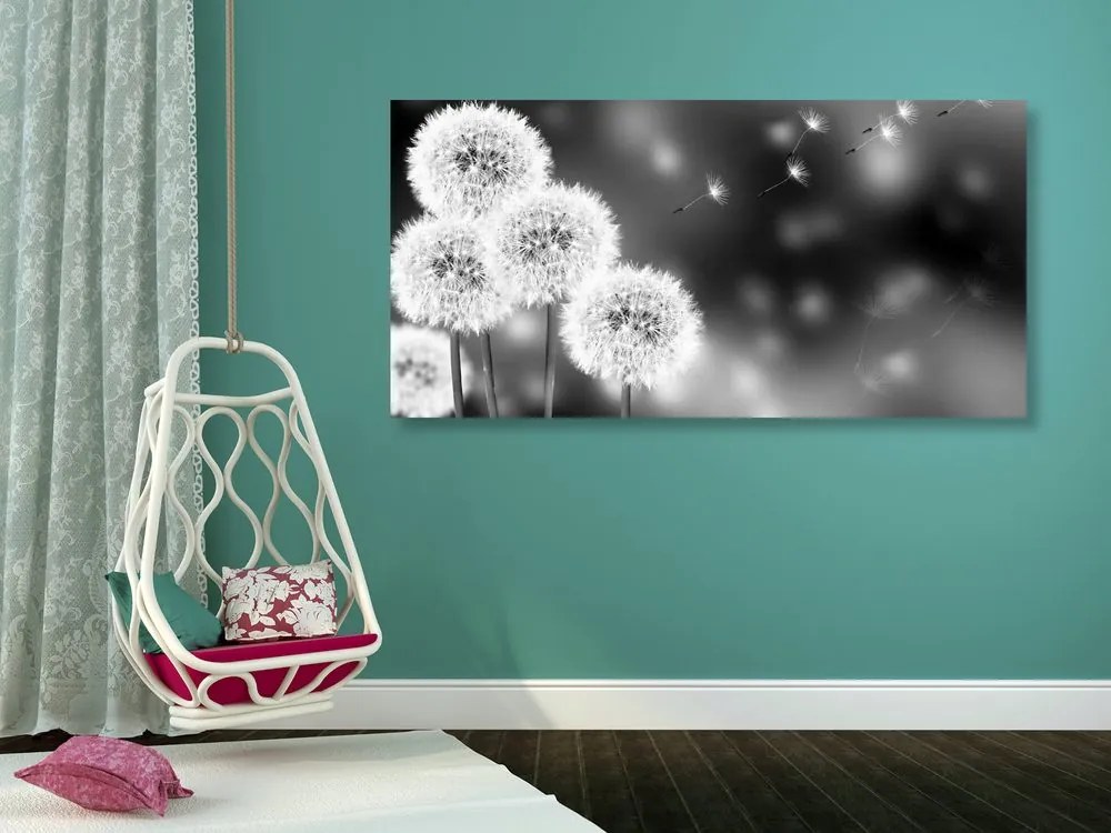 Quadro su tela – Dente di leone soffice in bianco e nero