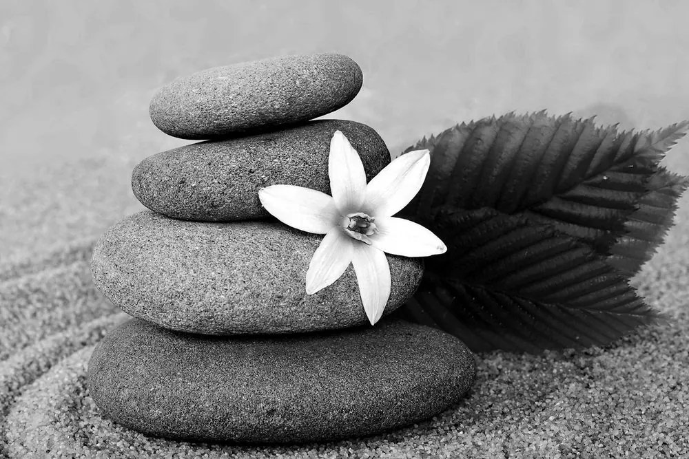 Stampa su tela – Fiore e pietre nella sabbia in bianco e nero