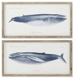 Quadro Home ESPRIT Balena 70 x 2,5 x 35 cm (2 Unità)