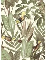 Rebel Walls Carta da parati Birds of Paradise - Bright Dawn