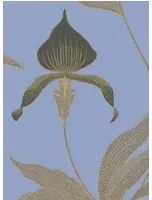 Orchid - Designtapete von Cole and Son - Blau/ Gold