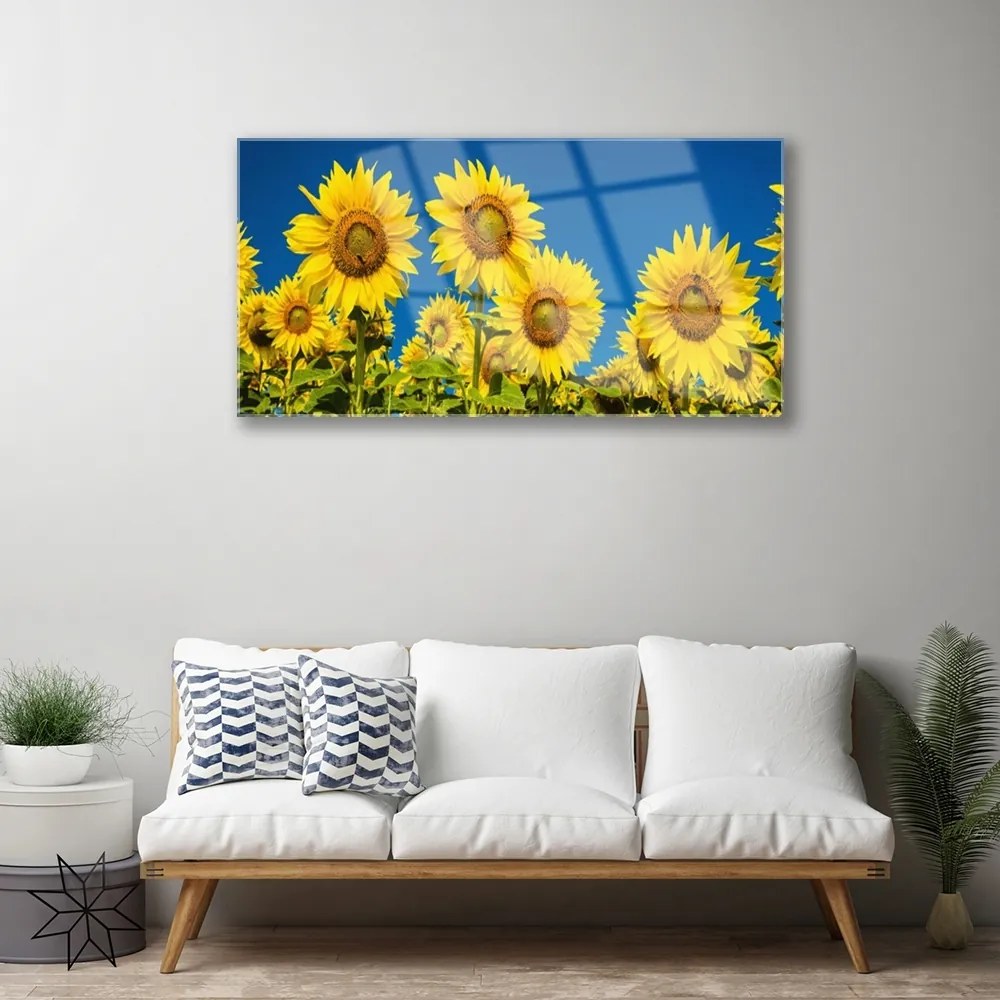 Quadro in vetro Pianta di girasoli 100x50 cm