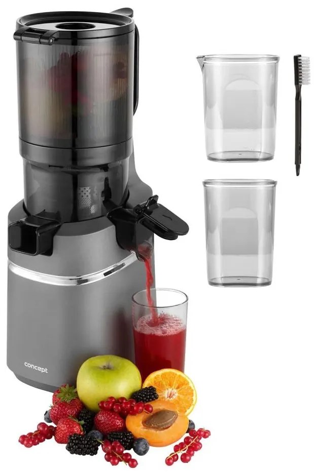 Concept LO7120 - Spremiagrumi lento JUICY 250W/230V grigio