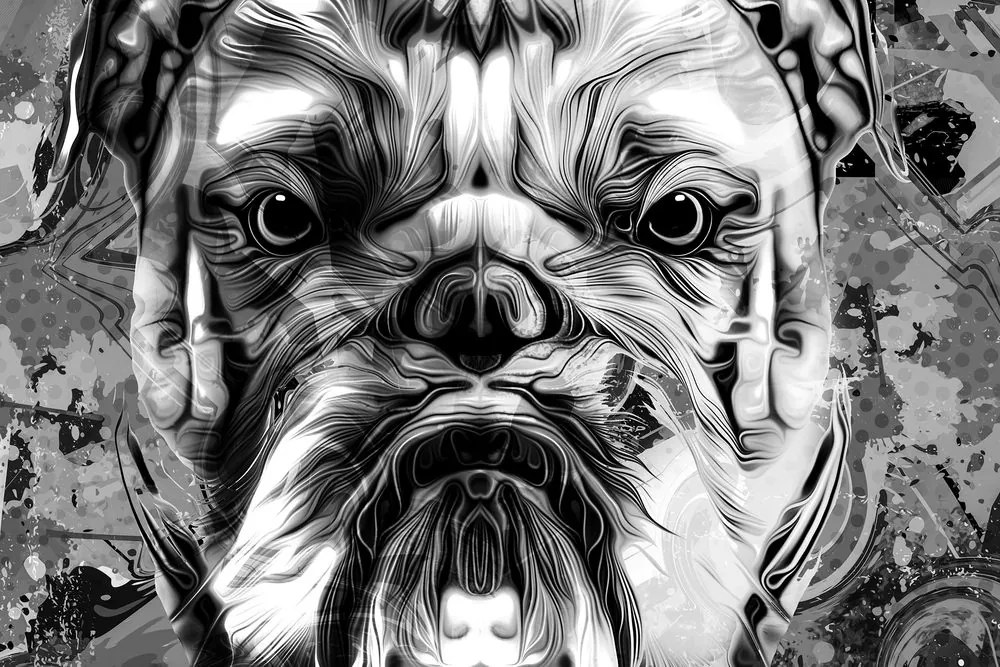 Stampa su tela – Bulldog in bianco e nero