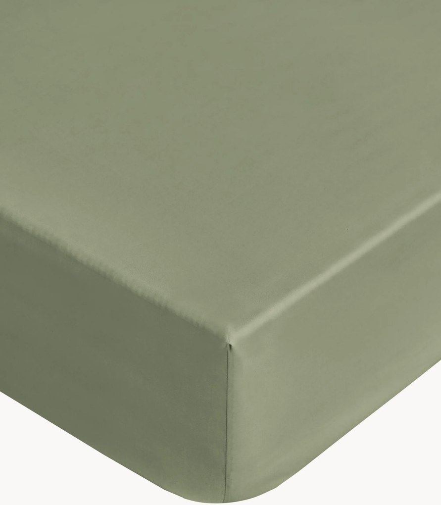 Lenzuolo con angoli boxspring in cotone Aurora