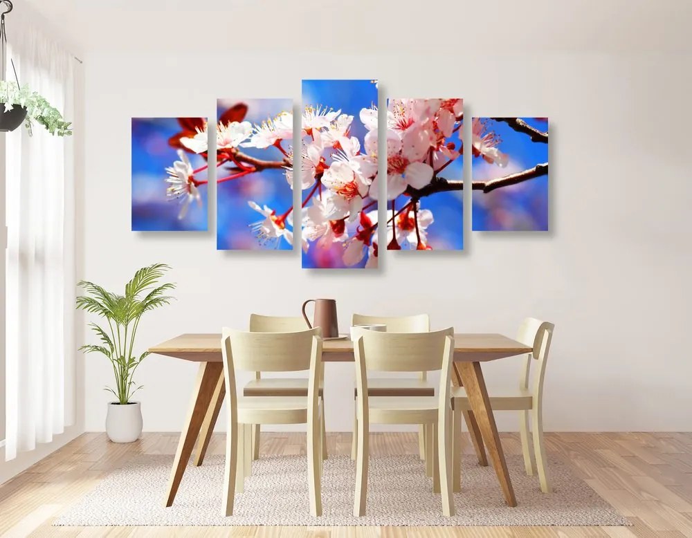 Quadri 5 pezzi – Fiore di ciliegio