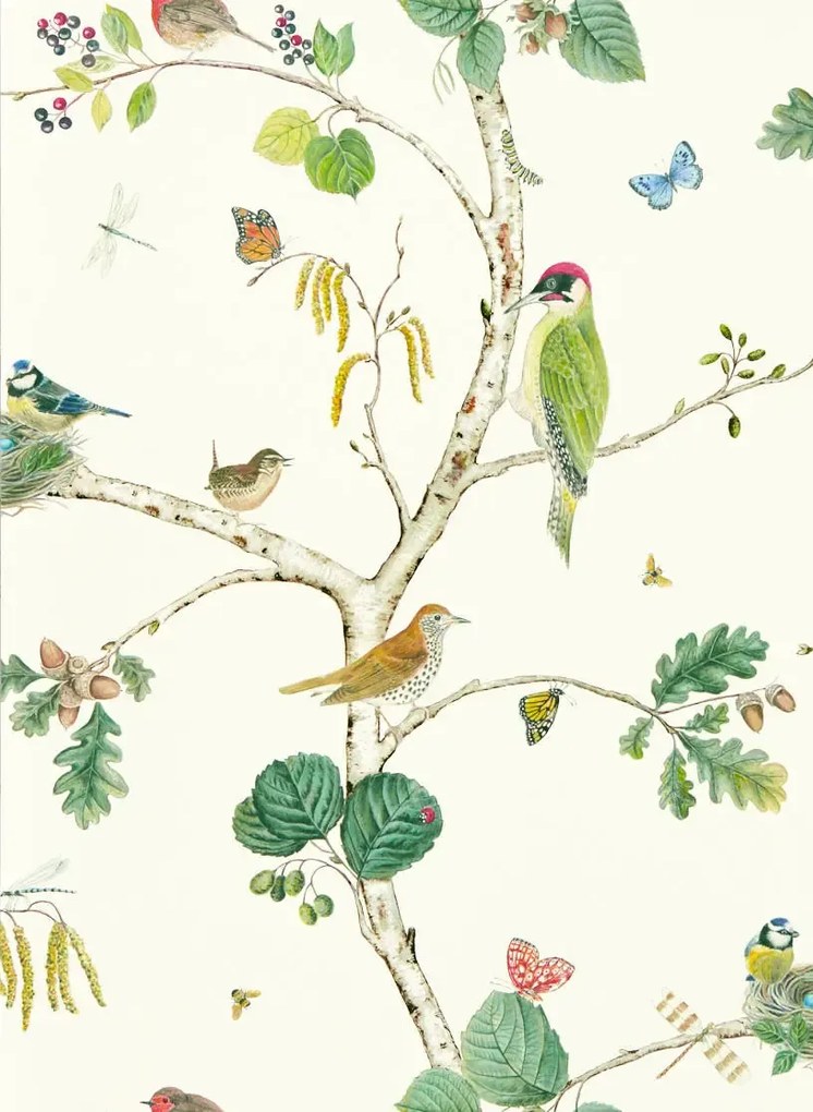 Sanderson Tapete Woodland Chorus - Botanical/ Multi