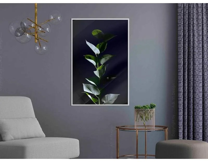 Poster Floral Elegance